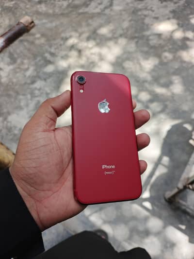 Apple iPhone XR (exchange possible)