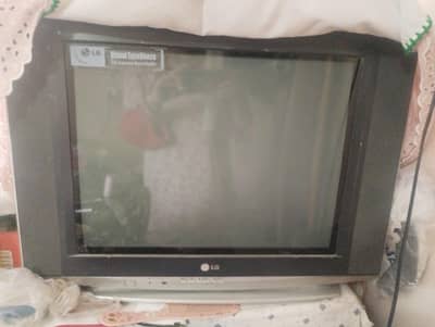 LG TV