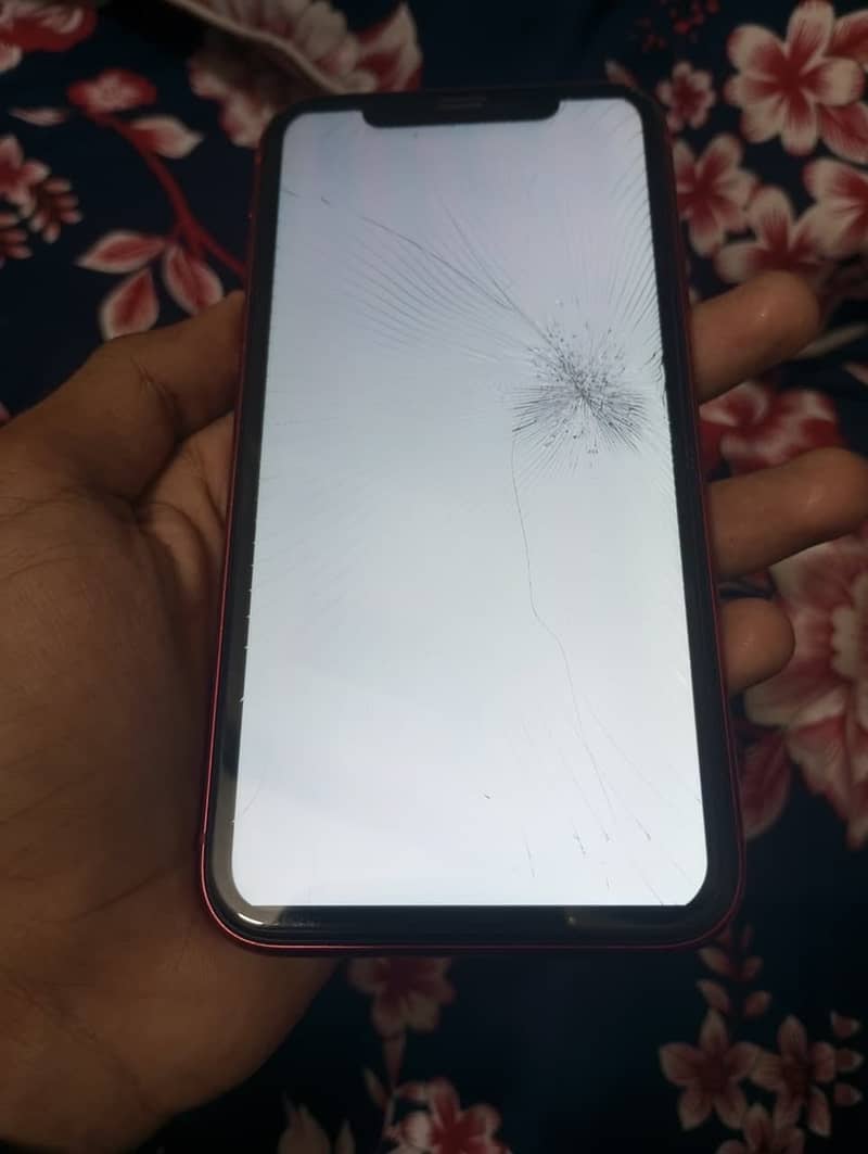 Apple iPhone 11 3