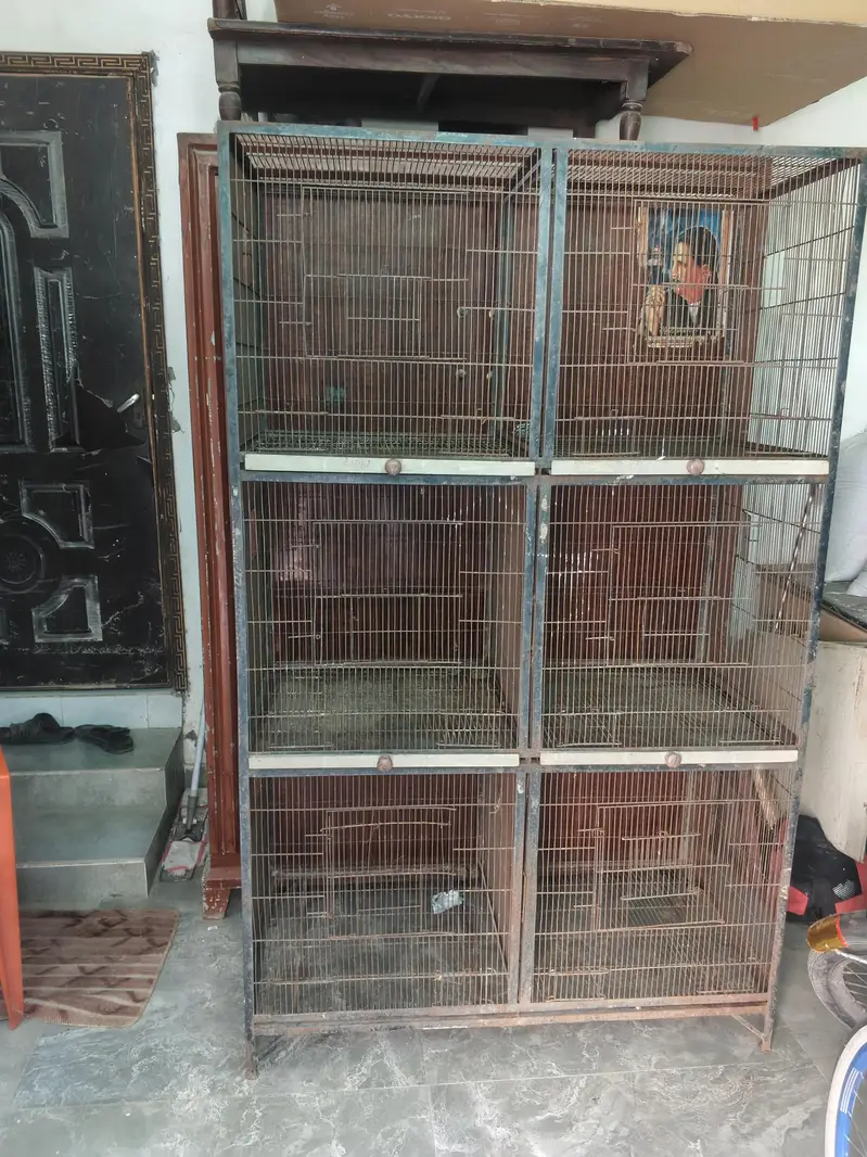 birds cage