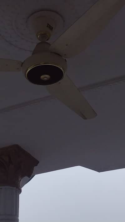 We have used almost 1.5 years now shifting the house