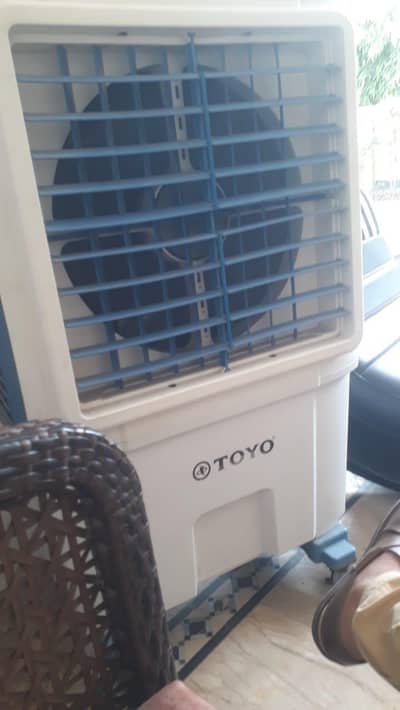 fan . . .