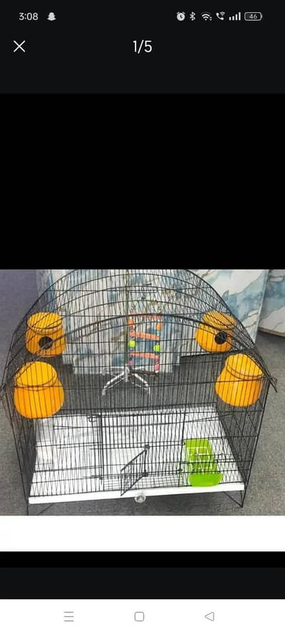 parrots cage