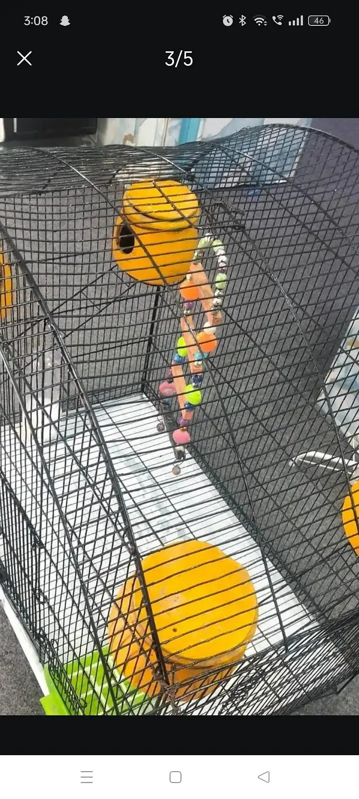 parrots cage — photo 3