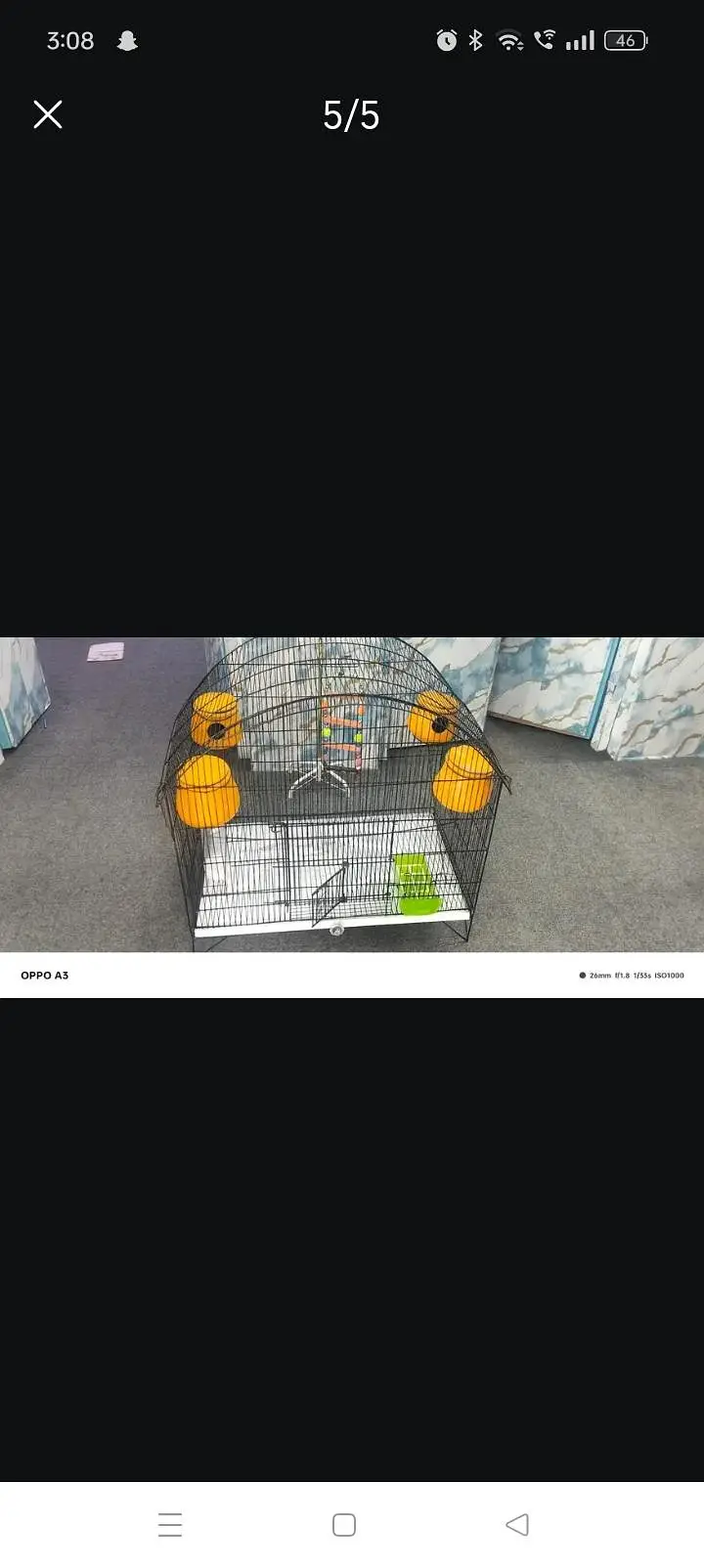 parrots cage — photo 5