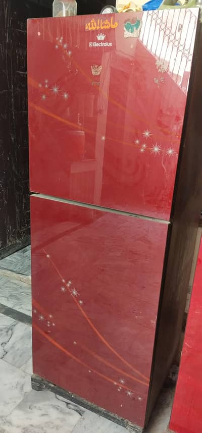 Electrolux Double door fridge