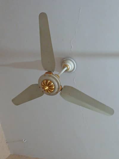 Ceiling Fan