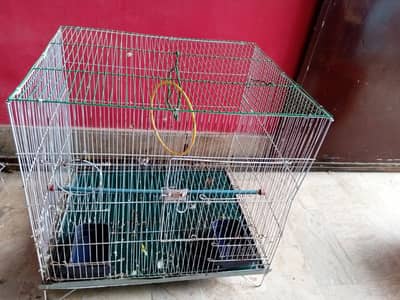 Parrot Cage