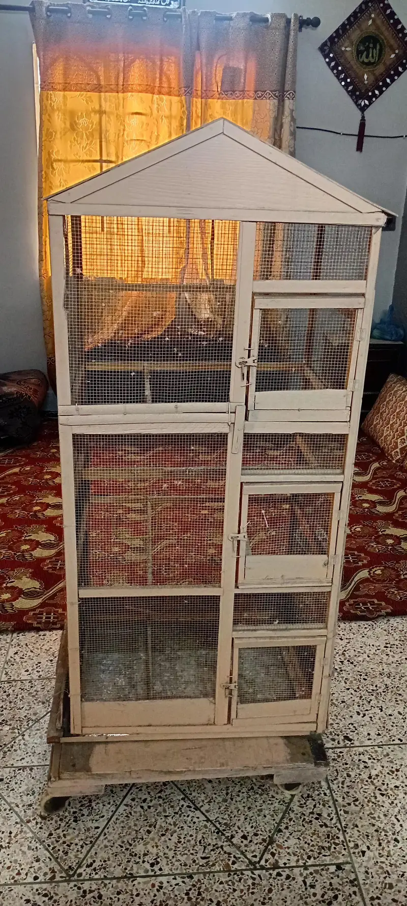3 Fit Cage with Birds Accessories — photo 2
