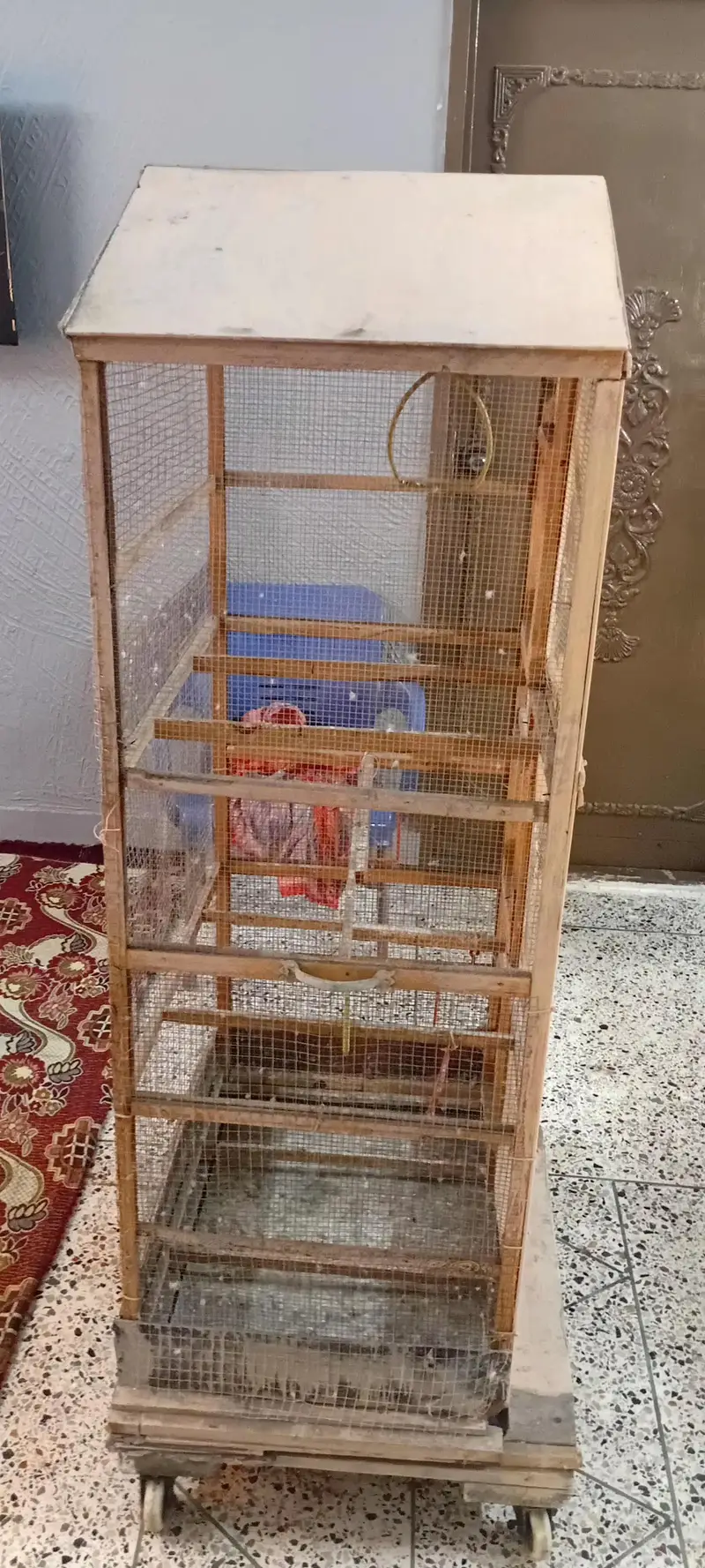 3 Fit Cage with Birds Accessories — photo 3