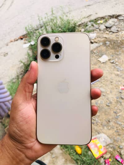Apple iPhone 13 Pro Max