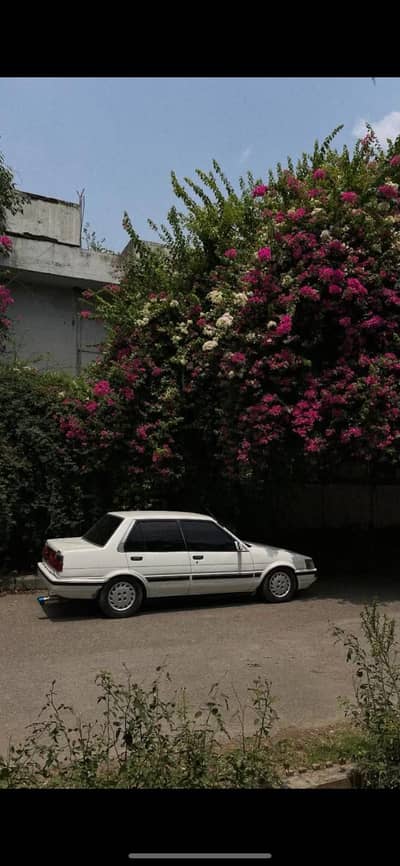 Toyota CorollaI 1986