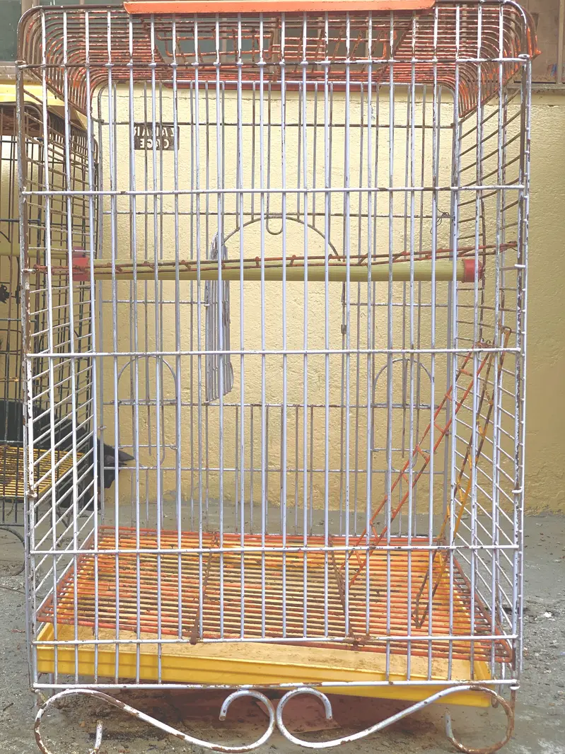 Raw Parrot cages — photo 2