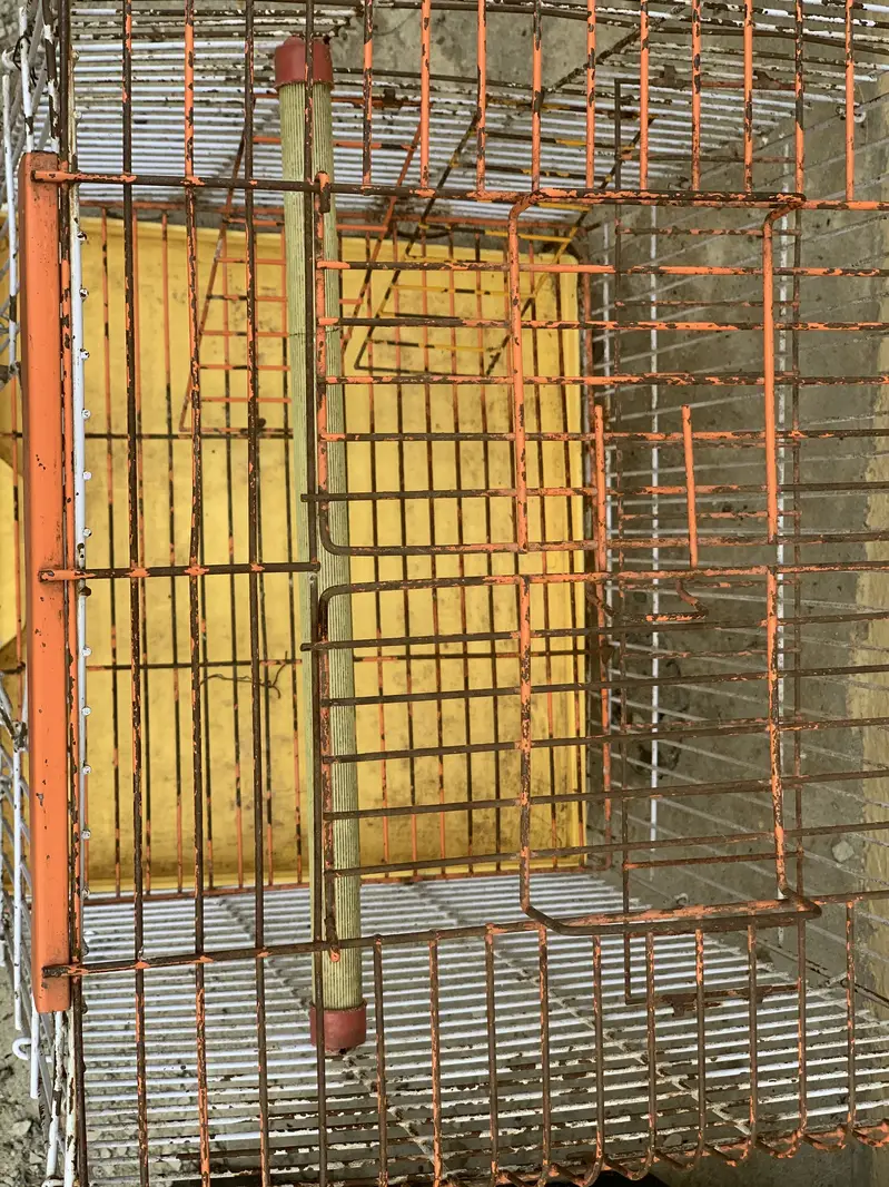 Raw Parrot cages — photo 3
