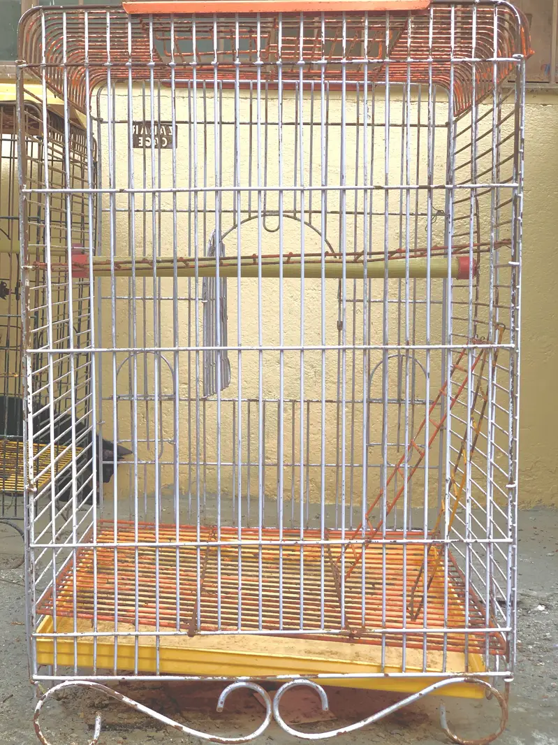 Raw Parrot cages — photo 4