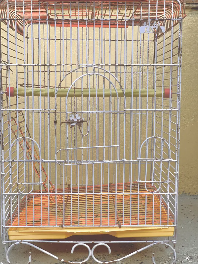 Raw Parrot cages — photo 5