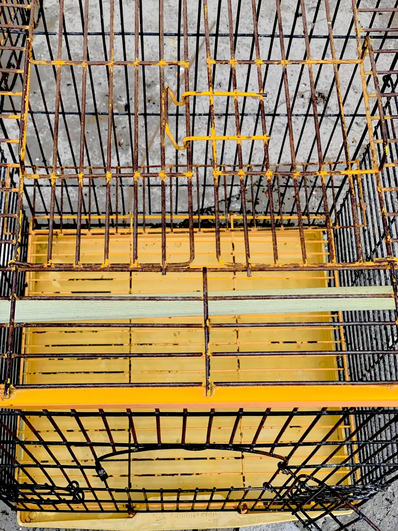 Raw Parrot cages — photo 6