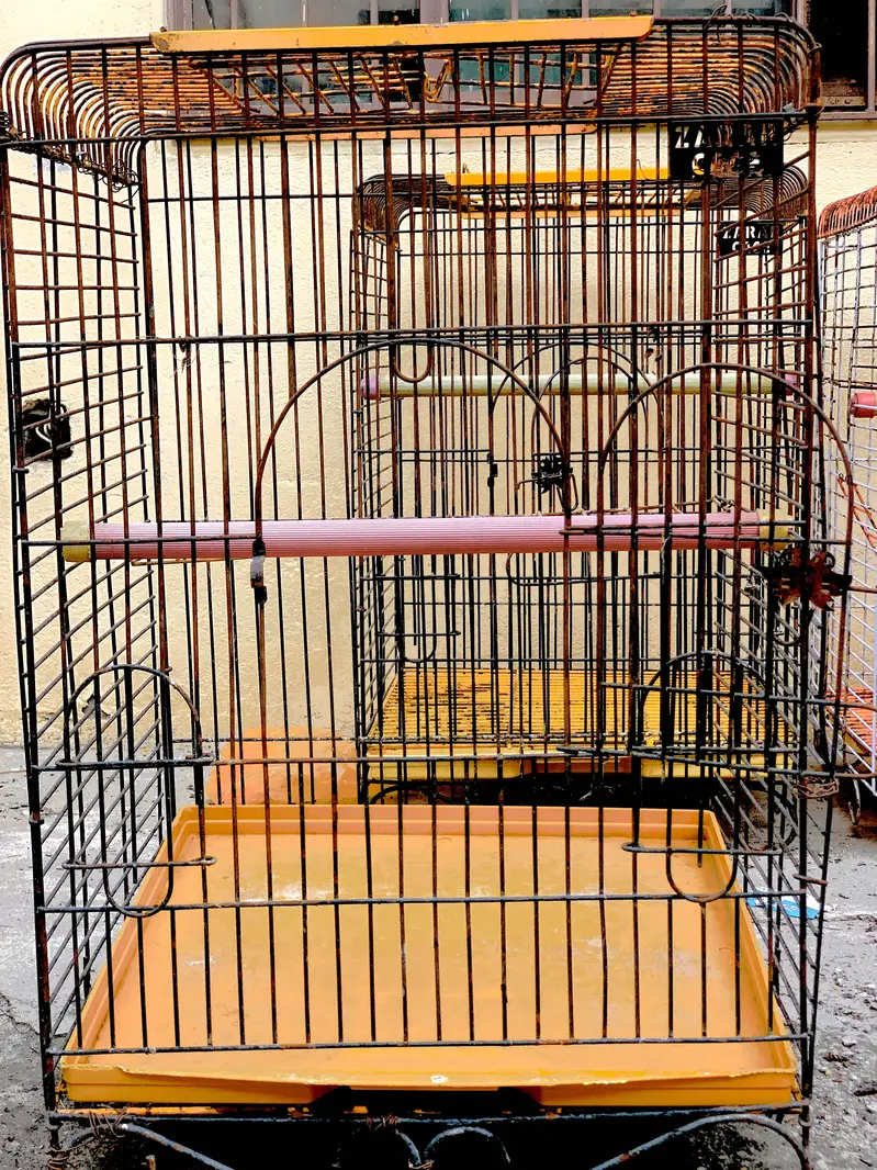 Raw Parrot cages — photo 9