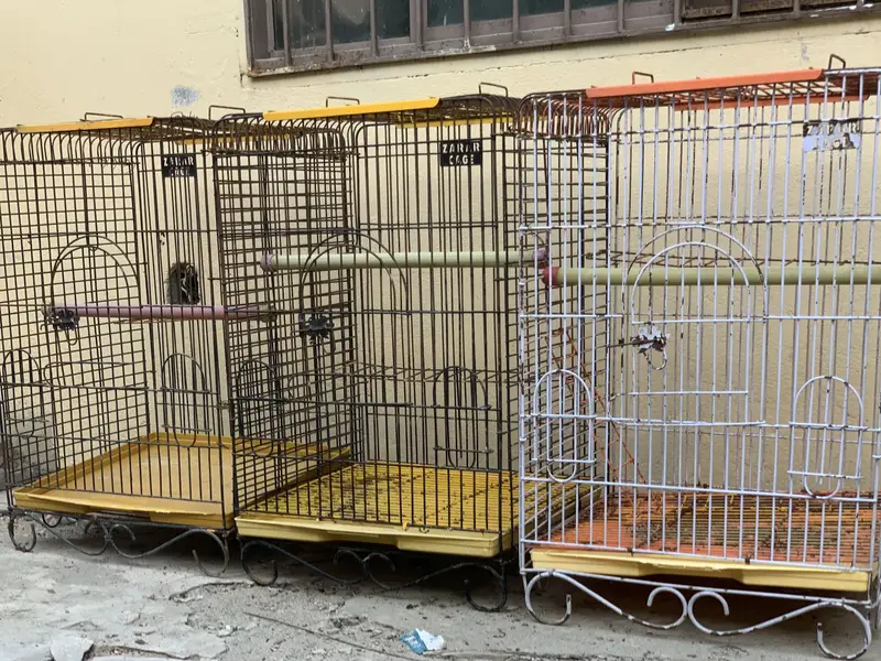 Raw Parrot cages — photo 11