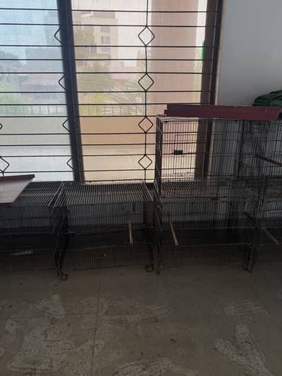 Cage for sale