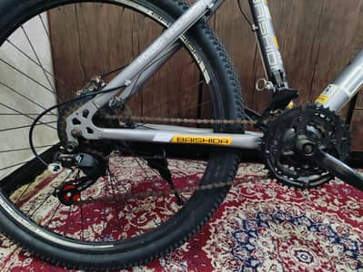 26 inch imported bicycle