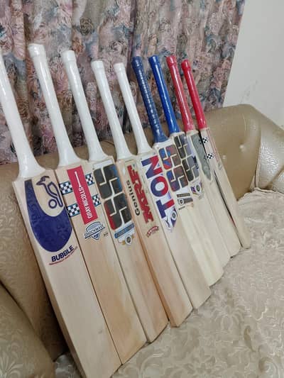 Premium English Willow Cricket Bat for Sale.