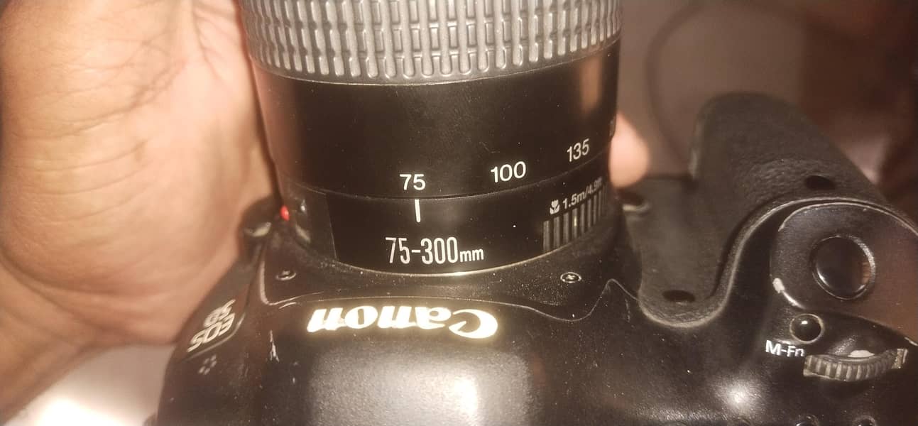 5d Mark 3 1