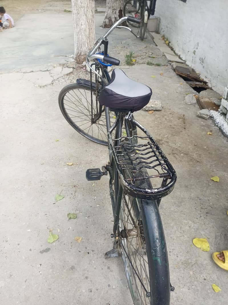 sohrab cycle 5
