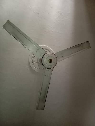 Fan for sale.