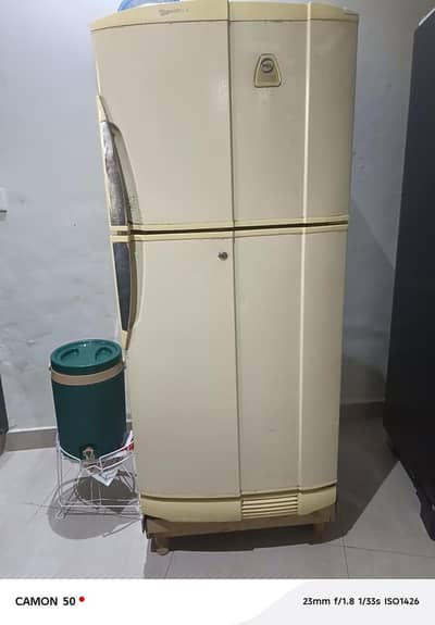 pel medium size