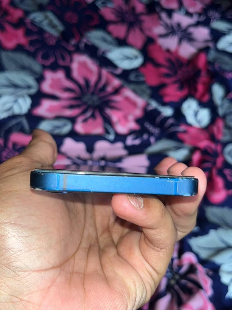 Apple iPhone 12 1