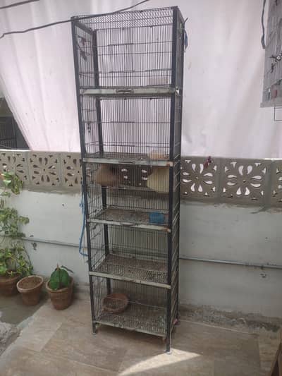 gulistan e Johar block 8