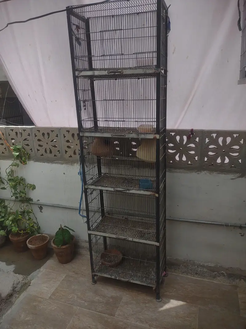 gulistan e Johar block 8 — photo 2
