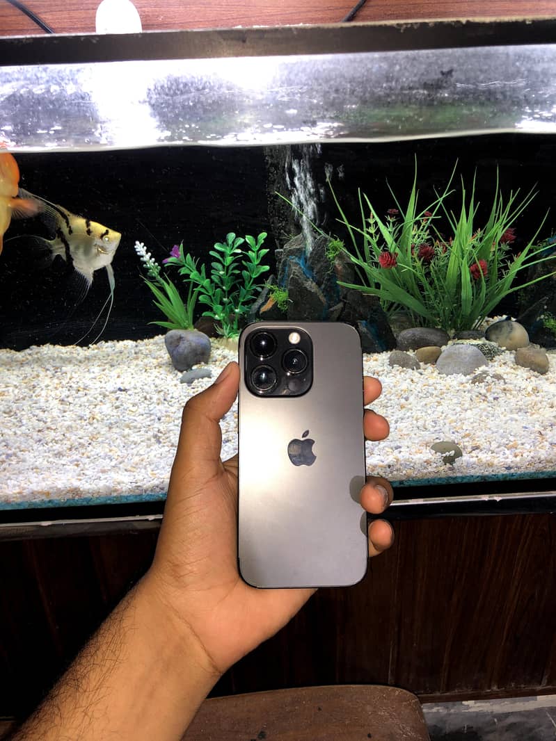 iphone 14pro 1