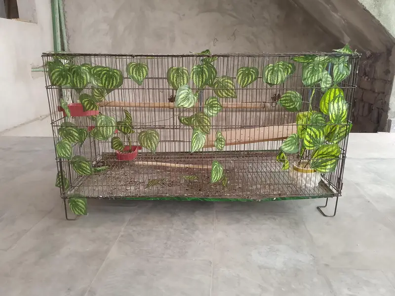 Large and small Bird Cage — photo 2