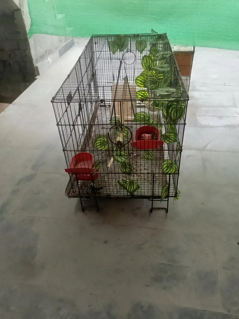 Large and small Bird Cage — photo 3
