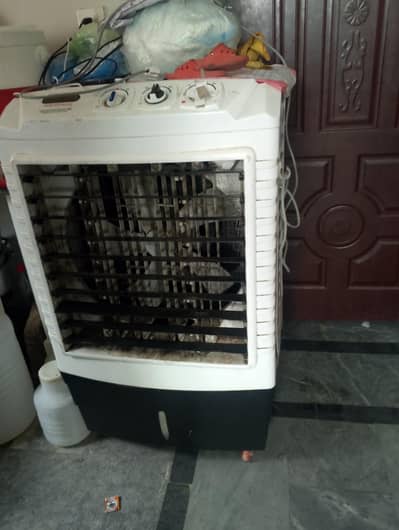beat condition room color final price ha yah