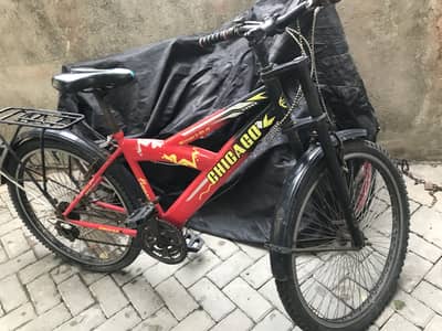 Bicycle ( Installed Gears ) For Sale