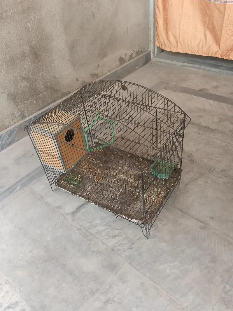 Large and small Bird Cage — photo 5