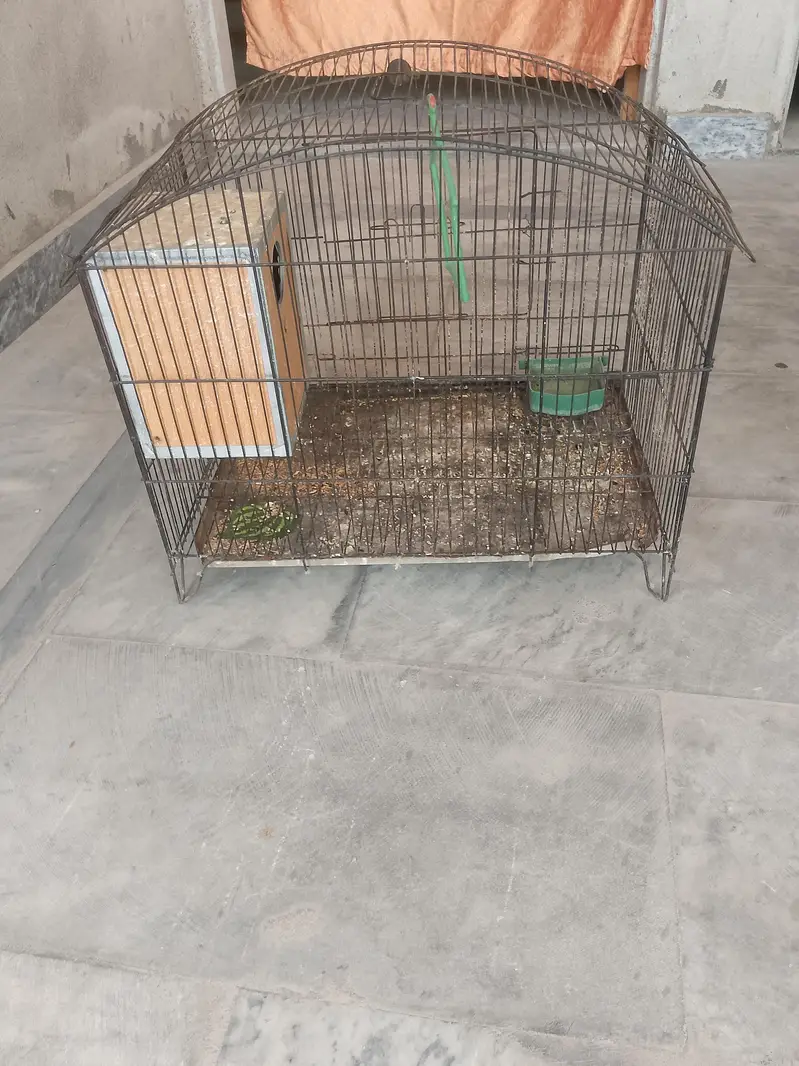 Large and small Bird Cage — photo 6