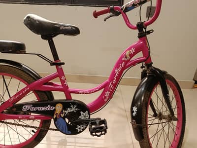 Disney Frozen-inspired theme Girl's bicycle
