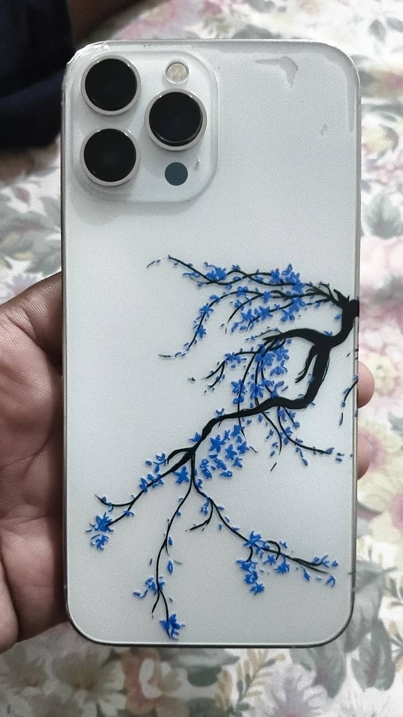Apple iPhone 13 Pro Max 1