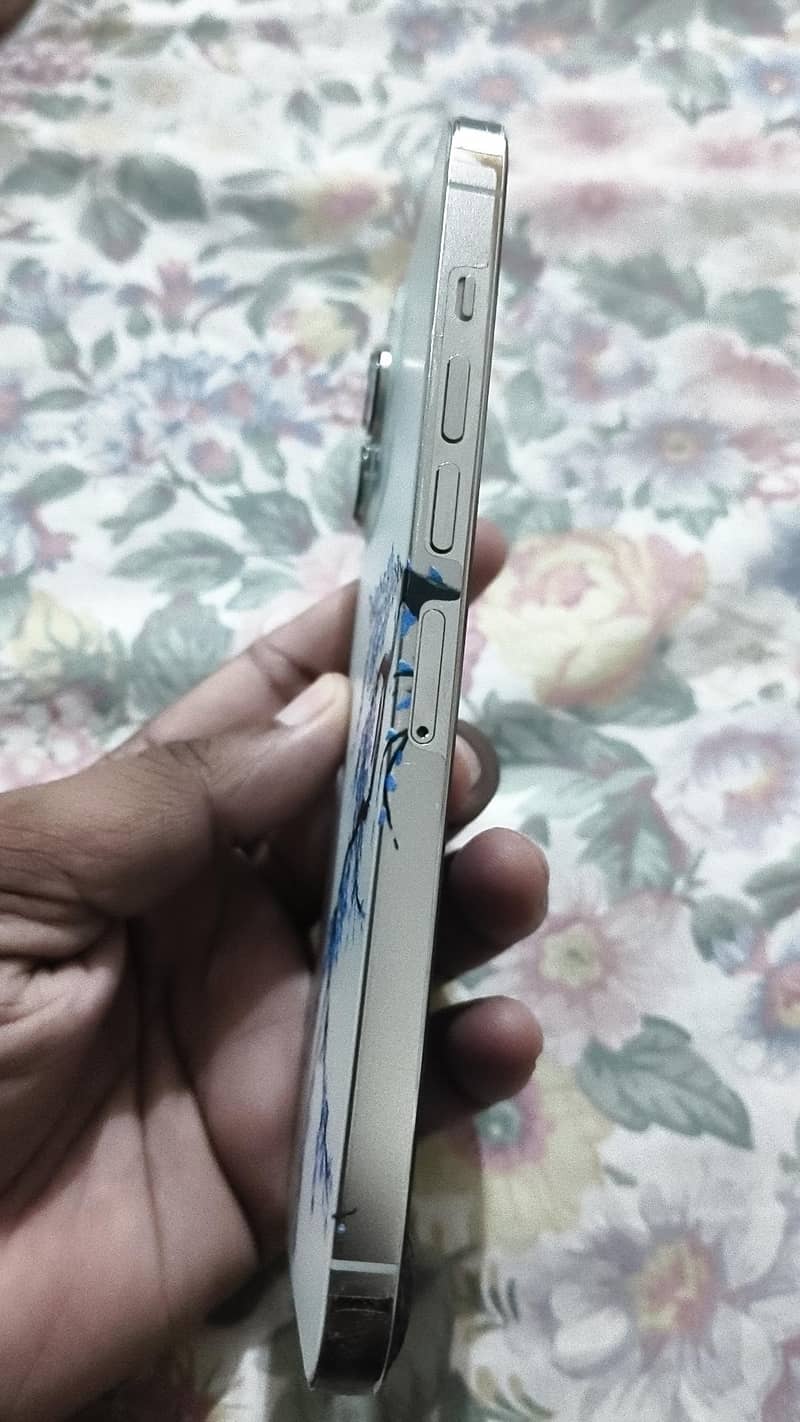 Apple iPhone 13 Pro Max 2