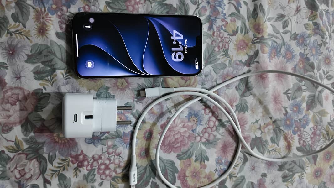 Apple iPhone 13 Pro Max 9
