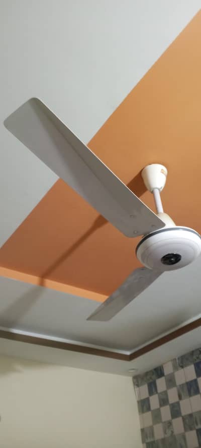 Fan (G. F. C) For Sale
