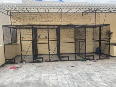 Cage for birds