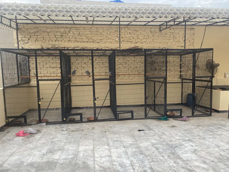 Cage for birds — photo 2