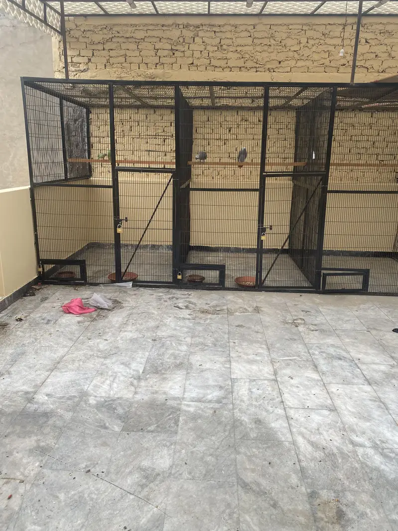Cage for birds — photo 3