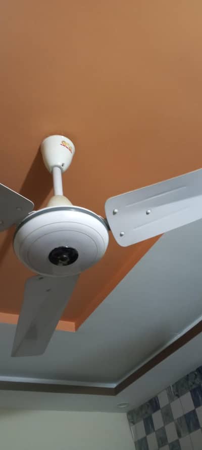Fan (G. F. C) For Sale