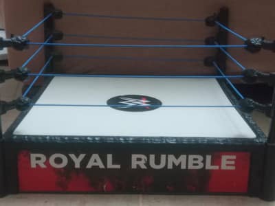 14×14 inch wwe royal rumble ring